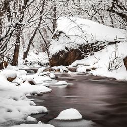 Frozen lake by bare trees during winter