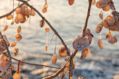 Written names of visitors on sea shells sunset in coast in formentera in balearic islands in spain.