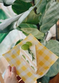 High angle view of woman holding leaf