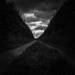 Road amidst trees against cloudy sky