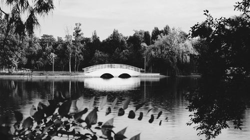 Arch bridge over lake against sky