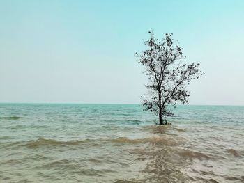 Scenic view of sea against clear sky