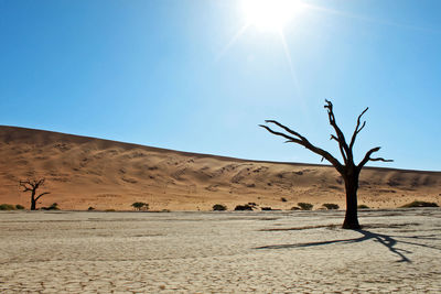 Scenic view of landscape against clear sky