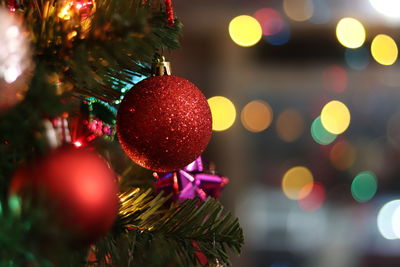 Close-up of christmas tree