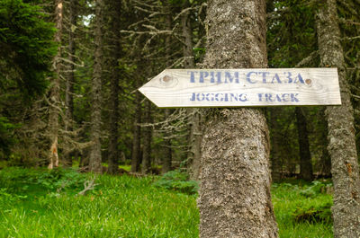 Information sign on tree trunk in forest