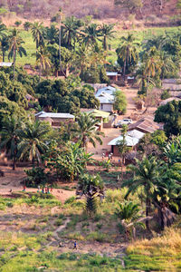 High angle view of trees and houses