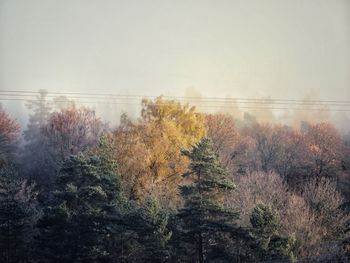 Trees against sky during autumn