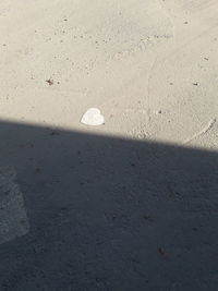 High angle view of footprints on beach