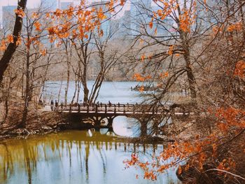 Reflection of trees in river