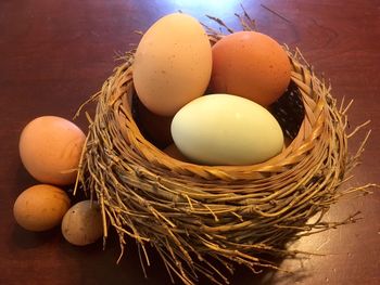 Close-up of eggs