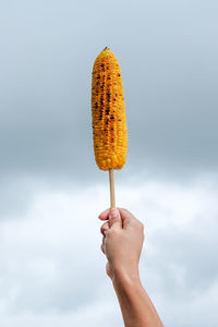 Cropped hand holding sweetcorn against cloudy sky