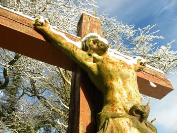 Low angle view of a tree