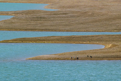 Scenic view of sea