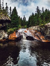 River flowing amidst rocks in forest against sky