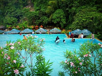 People in swimming pool