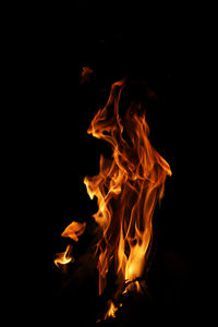 Close-up of bonfire against black background