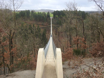 Panoramic view of land and trees in forest against sky