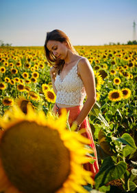 Portrait of young woman standing amidst sunflowers