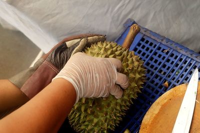 Cropped image of hands holding durian