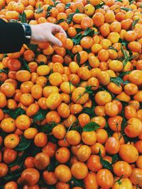 Cropped hand of person examining orange fruit at market