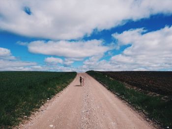 Road amidst agricultural field against sky