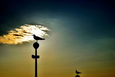 Low angle view of weather vane against cloudy sky