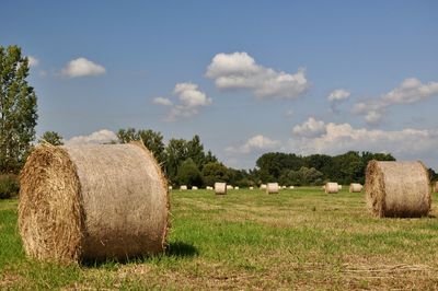 Hay bales on field against sky