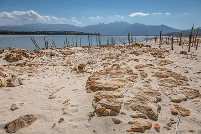 Scenic view of beach against sky