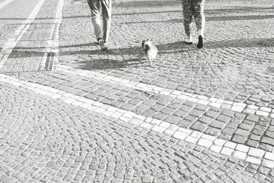 Low section of woman standing on footpath