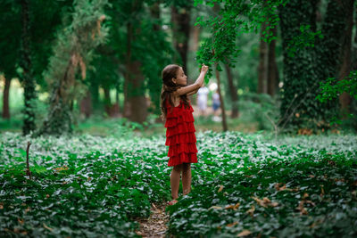 Full length of boy standing in forest