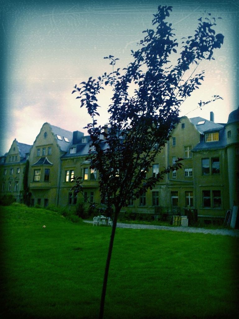 building exterior, grass, architecture, built structure, tree, sky, lawn, green color, house, residential structure, grassy, residential building, field, nature, growth, cloud - sky, outdoors, day, no people, bare tree