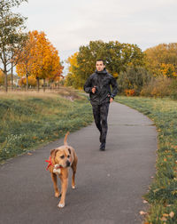 Portrait of dog standing on road against trees during autumn