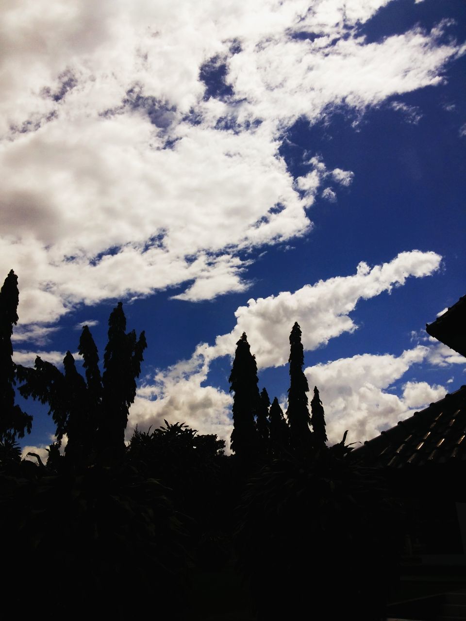 sky, silhouette, cloud - sky, low angle view, tree, cloud, cloudy, nature, tranquility, built structure, beauty in nature, scenics, building exterior, tranquil scene, outdoors, architecture, blue, no people, day, house