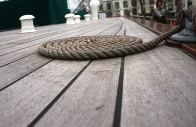 Close-up of lizard on table