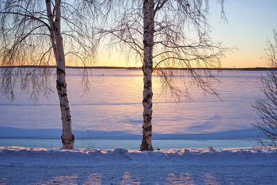 Bare tree by lake against sky during sunset