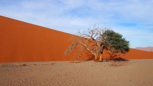 Scenic view of desert against sky