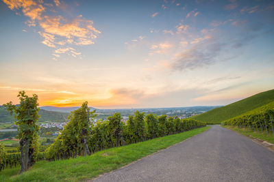 Road amidst green landscape against sky during sunset