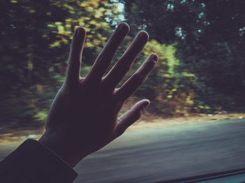 Close-up of hand against trees