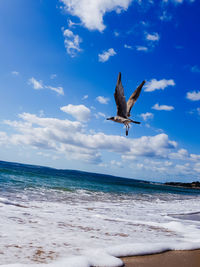 Seagull flying over beach against sky