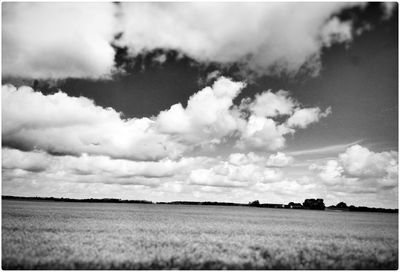 Scenic view of grassy field against sky