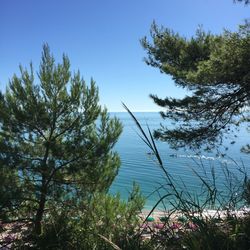 Scenic view of lake against clear blue sky