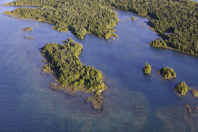 High angle view of trees by lake