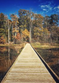 Walkway by lake in forest against sky
