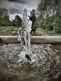 Water splashing in fountain against trees