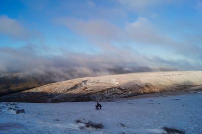 Snow and sun 