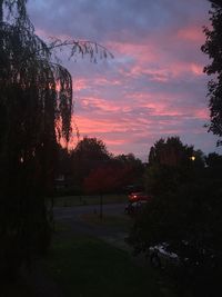 Trees against sky during sunset