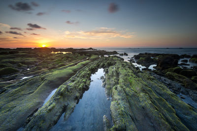 Scenic view of sea against sky during sunset