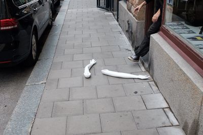 High angle view of pigeons on street