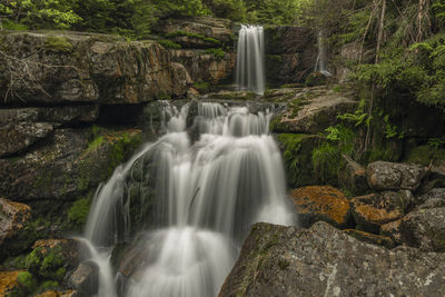 Low angle view of waterfall in forest