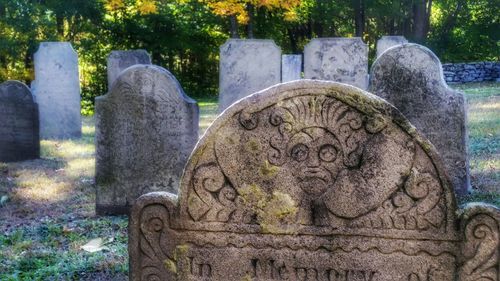 Close-up of cemetery